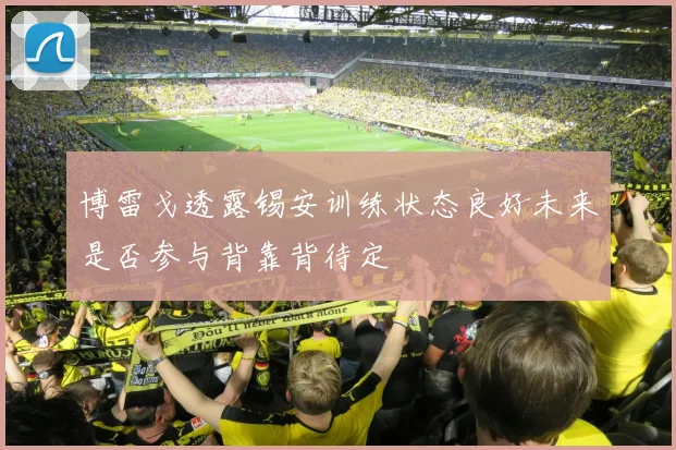 博雷戈透露锡安训练状态良好未来是否参与背靠背待定
