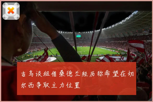 吉乌谈租借桑德兰经历称希望在切尔西争取主力位置
