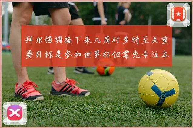 拜尔强调接下来几周对多特至关重要目标是参加世界杯但需先专注本赛季表现