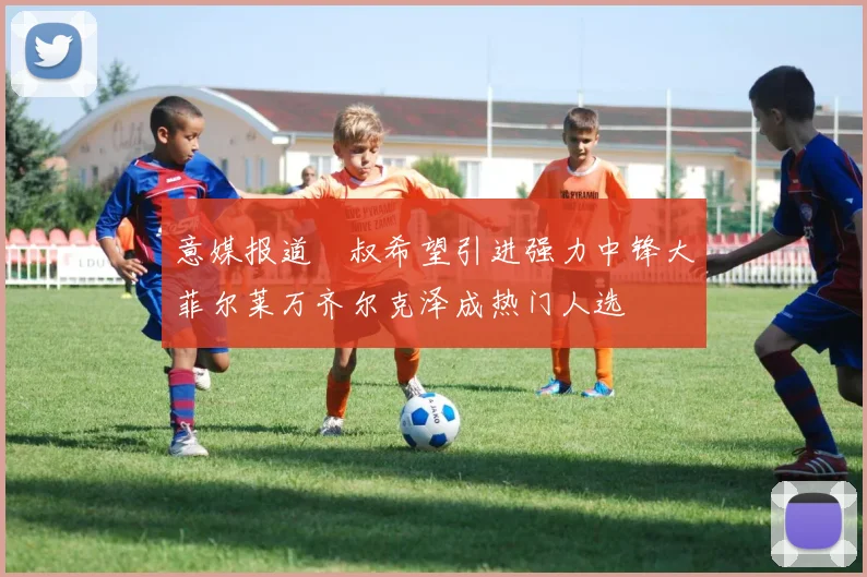 意媒报道囧叔希望引进强力中锋大菲尔莱万齐尔克泽成热门人选
