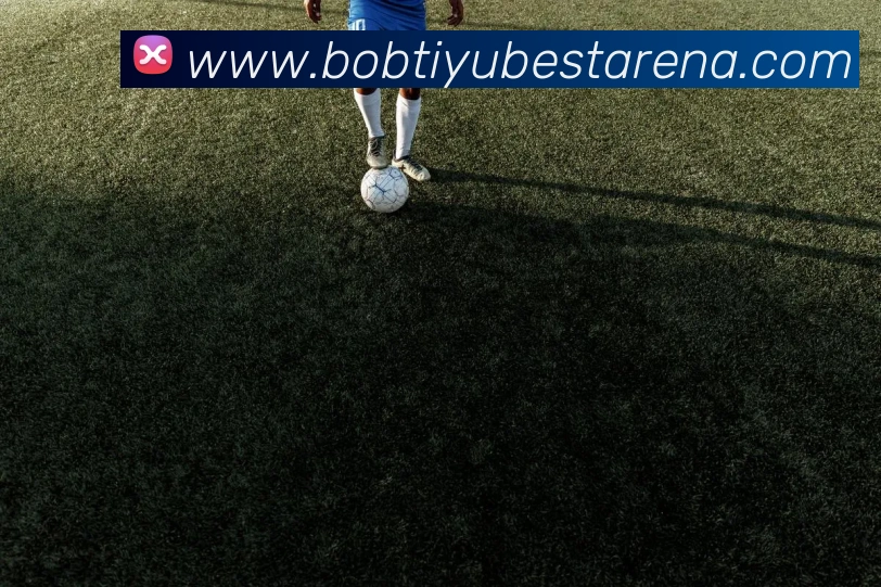 BOB体育平台生态图